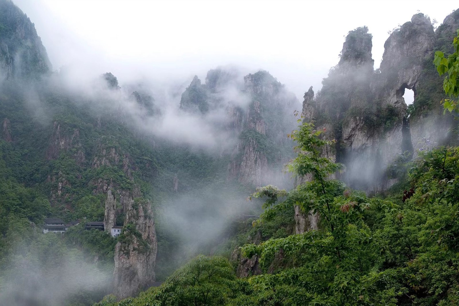 平陽南雁蕩山項目.jpg